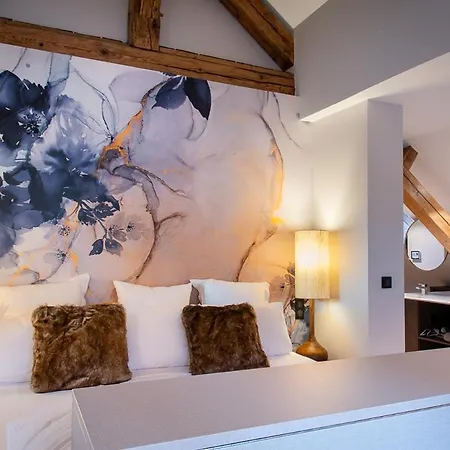 Restaurant Vaillant Proche Europapark Rulantica Hotel 3*