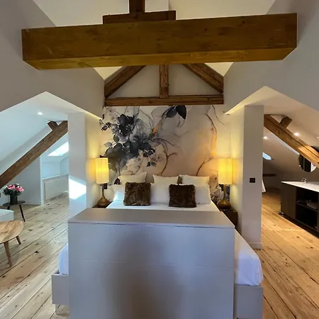 Restaurant Vaillant Proche Europapark Rulantica 3* 塞莱斯塔