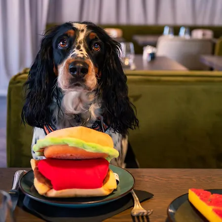 Restaurant Vaillant Proche Europapark セレスタ